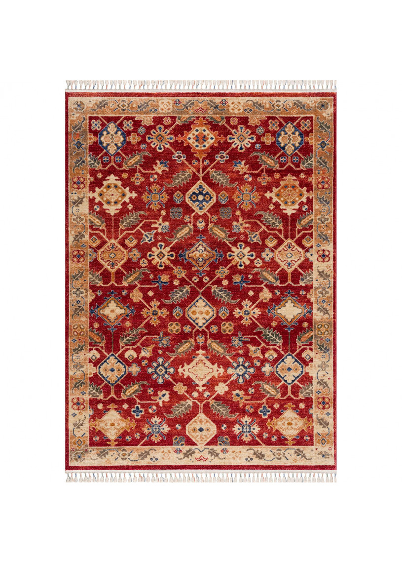 Tapis oriental - OTIKA 31