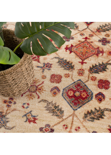 Tapis oriental - OTIKA 31