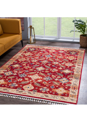 Tapis oriental - OTIKA 31