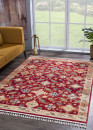 Tapis oriental - OTIKA 31