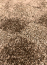 Tapis damier marron - PARIS 467